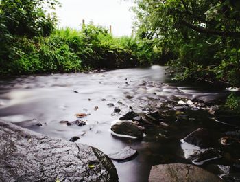 Stream flowing through rocks