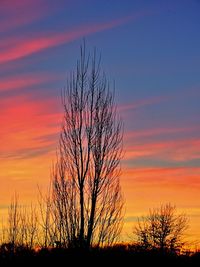 Low angle view of silhouette trees against dramatic sky