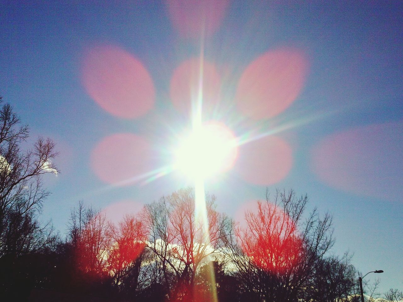 low angle view, sun, tree, lens flare, sunbeam, sky, sunlight, nature, beauty in nature, growth, bright, branch, glowing, outdoors, tranquility, no people, celebration, high section, silhouette, sunset