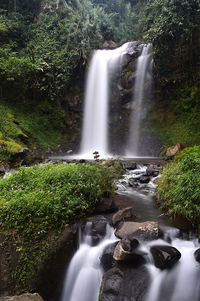 Scenic view of waterfall in forest