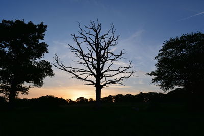 Silhouette trees on field against sky during sunset