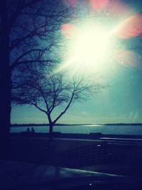 Silhouette tree by sea against sky