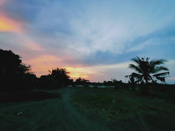 Scenic view of palm trees on field against sky at sunset