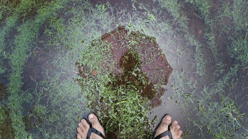 Cropped image of man standing on wet mud ground