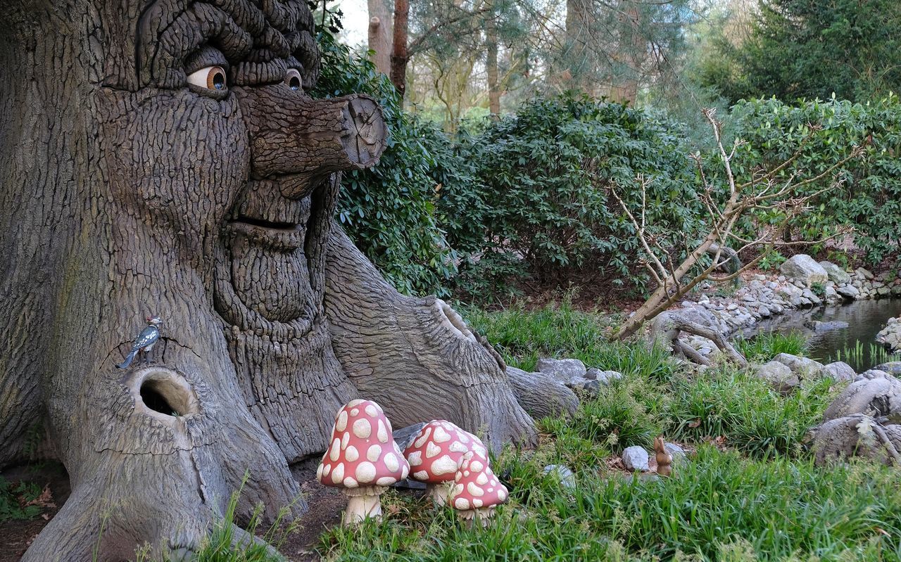 CLOSE-UP OF STATUE ON FIELD BY TREES