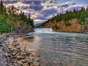 Scenic view of river in forest against sky
