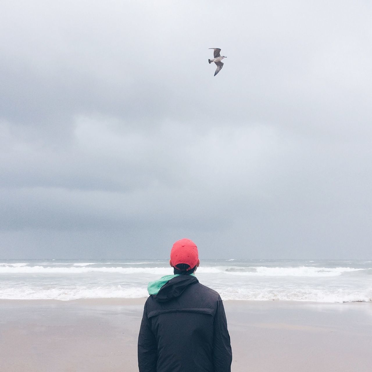 sea, horizon over water, sky, water, lifestyles, beach, flying, men, rear view, leisure activity, scenics, shore, wave, bird, standing, beauty in nature, nature, cloud - sky