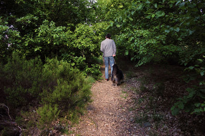 Rear view of man with dog amidst trees in forest
