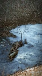 Close-up of frozen bare tree during winter