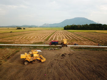 Harvester prepare sent the rice crop to truck.