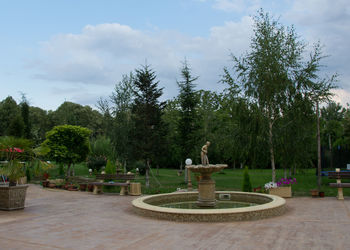 Statue in park against sky