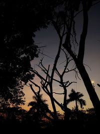 Low angle view of silhouette trees against sky at sunset