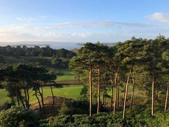 Panoramic view of poole bay and sandbanks