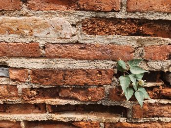 Close-up of brick wall