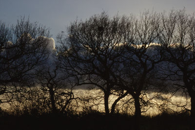 Silhouette bare trees on field against sky