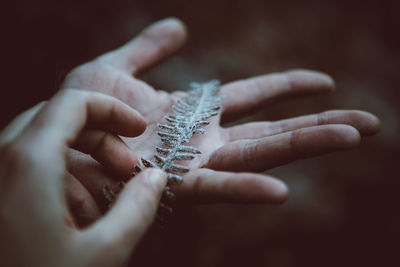 Close-up of person holding hands