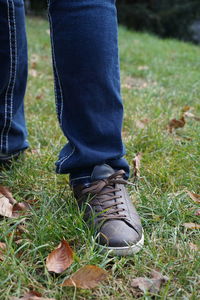 Low section of man wearing shoes on field