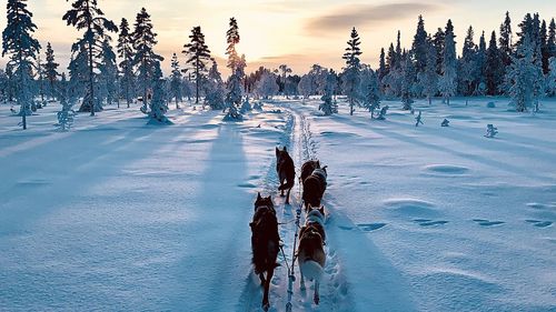People on snow covered field against sky during sunset
