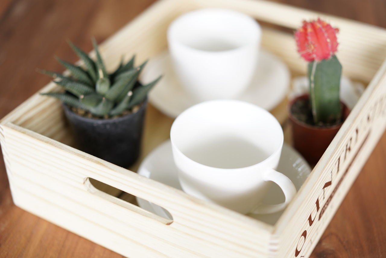 table, still life, indoors, wood - material, no people, close-up, food and drink, focus on foreground, high angle view, selective focus, container, food, bowl, green color, plant, healthy eating, white color, succulent plant, freshness, wellbeing, tray