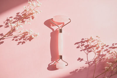 Close-up of pink flowering plant on table