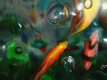 Close-up of water drops on glass