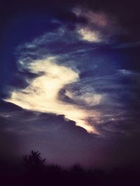 Silhouette of trees against cloudy sky