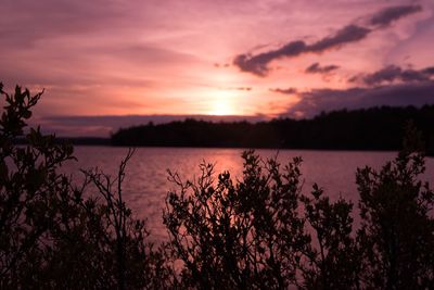 Scenic view of lake at sunset