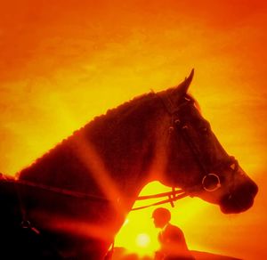 Close-up of orange horse against sky during sunset