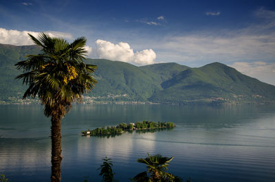 Idyllic view of island and palm tree on lake