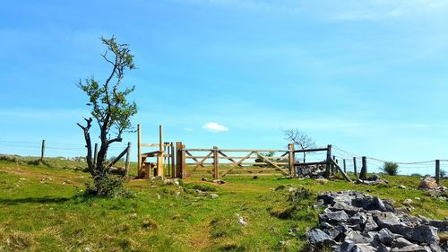 Scenic view of landscape against blue sky