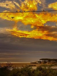 Scenic view of dramatic sky during sunset