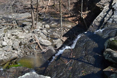 High angle view of stream flowing through rocks in forest