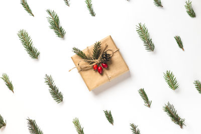 High angle view of christmas tree against white background