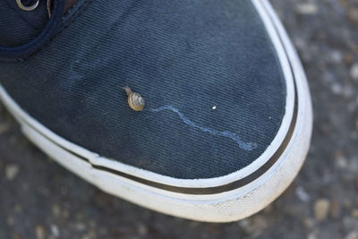 Close-up of snail on shoe