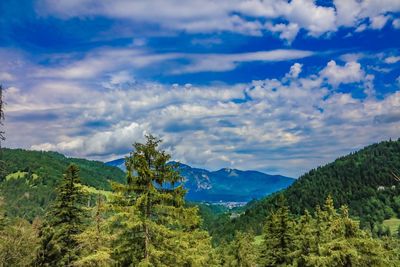 Scenic view of trees and mountains against sky