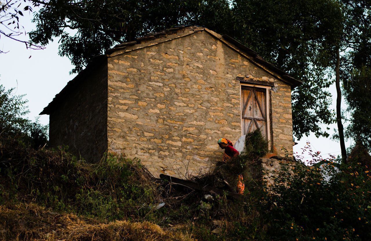 VIEW OF A BIRD HOUSE