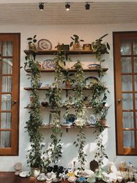 Potted plants outside house