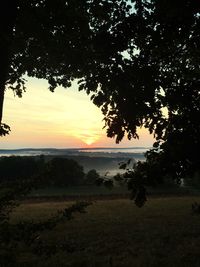 Silhouette trees on field against sky during sunset