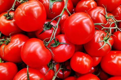 Full frame shot of tomatoes for sale