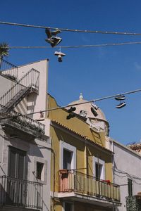 Low angle view of bird flying against blue sky