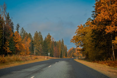 Road amidst trees against sky during autumn