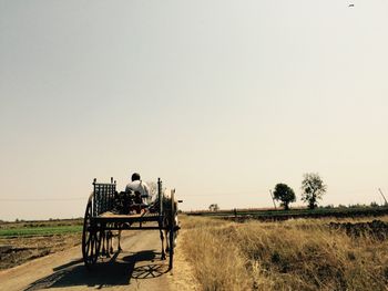 Rear view of farmer in bullock cart on road by field against clear sky