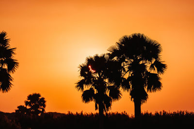 Silhouette tree against orange sky