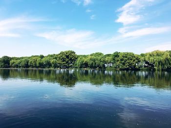 Scenic view of lake by trees against sky