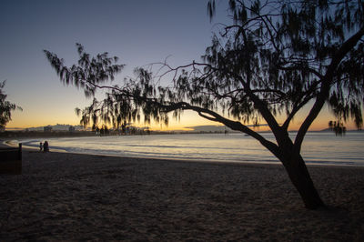 Silhouette trees on beach against sky during sunset