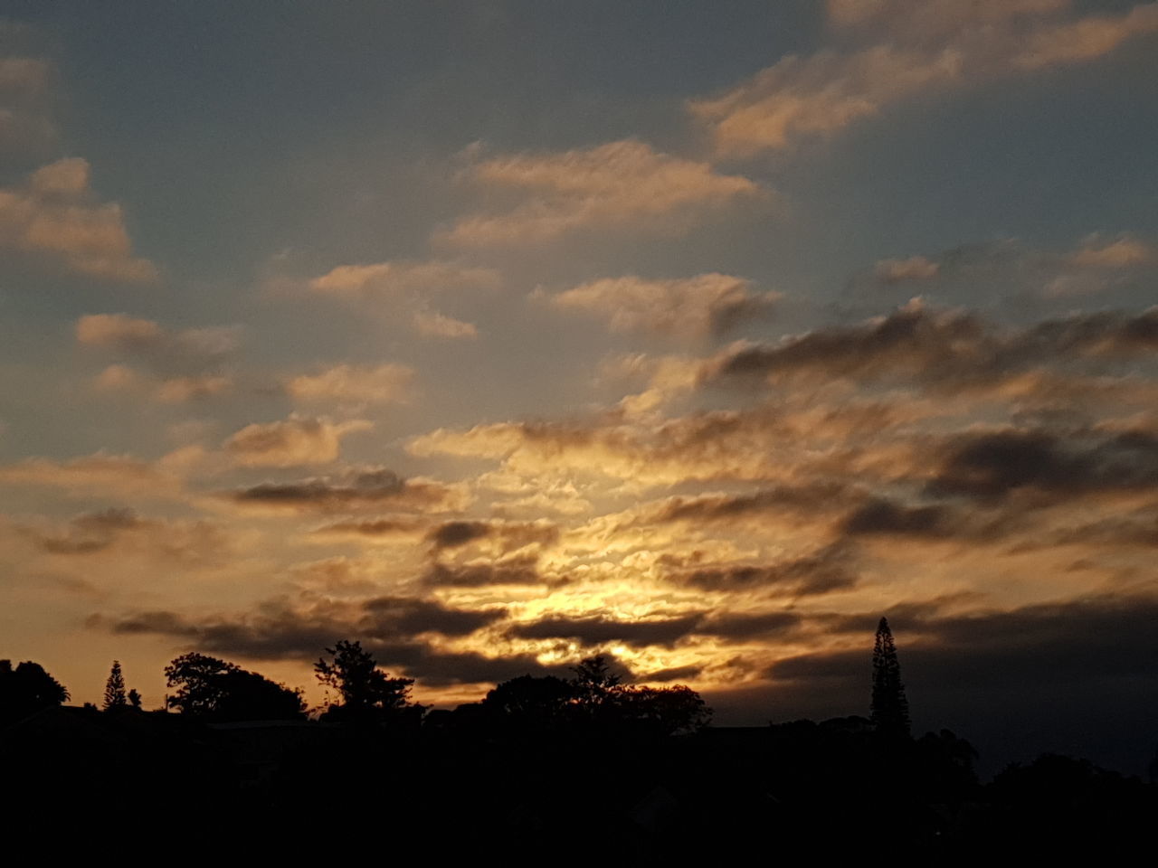 SILHOUETTE TREES AND BUILDING AGAINST ORANGE SKY