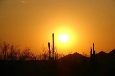 Scenic view of sunset