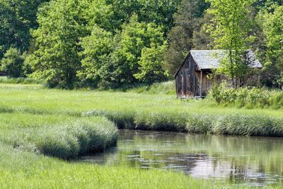 Hut on grassy field by river against trees