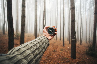 Cropped image of hand holding navigational compass against trees at forest