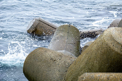 Close-up of sea waves splashing on rocks